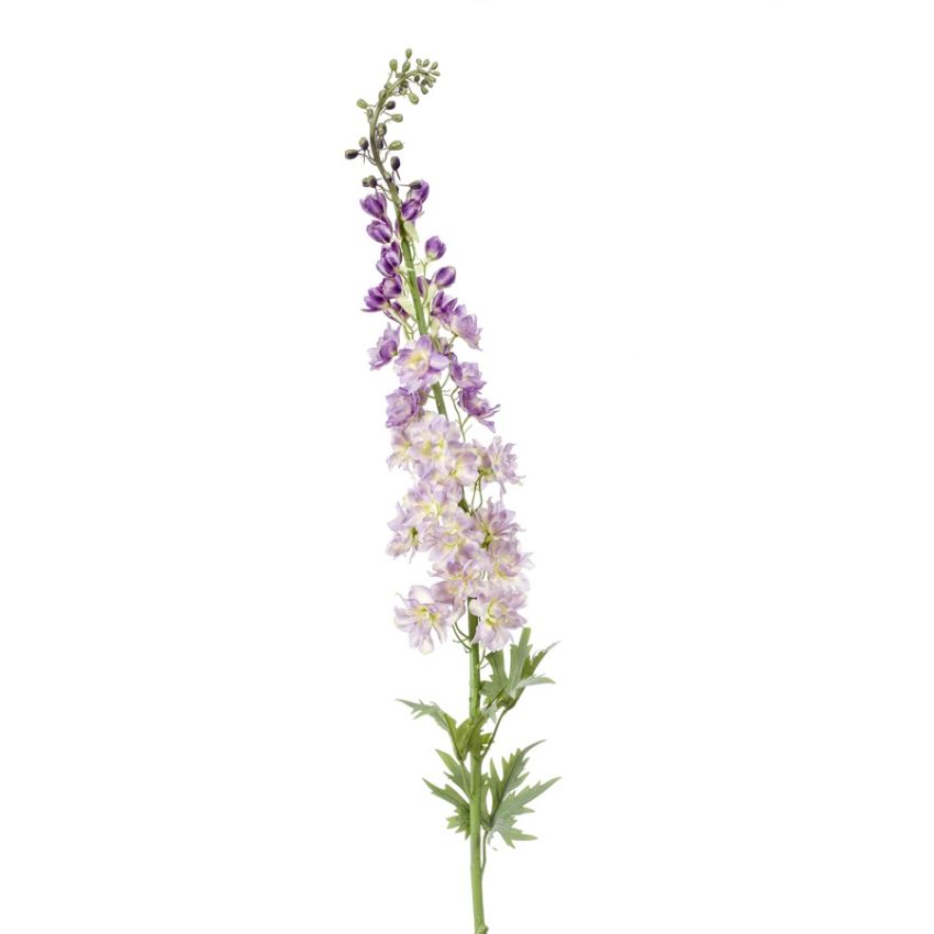 Delphinium XL spray lt purple 130cm