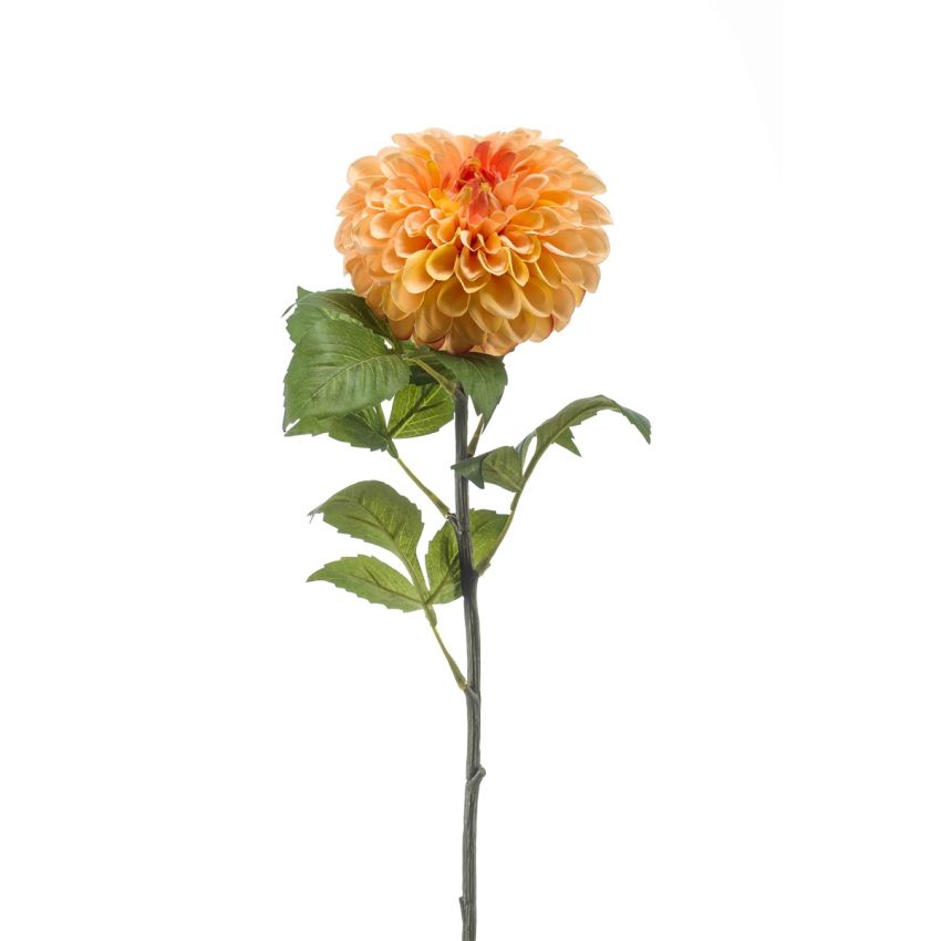 Dahlia pompon spray peach 74cm