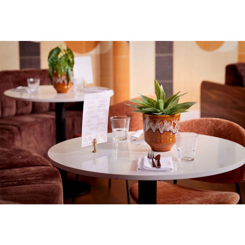 Agave bush grey 27cm in black pot