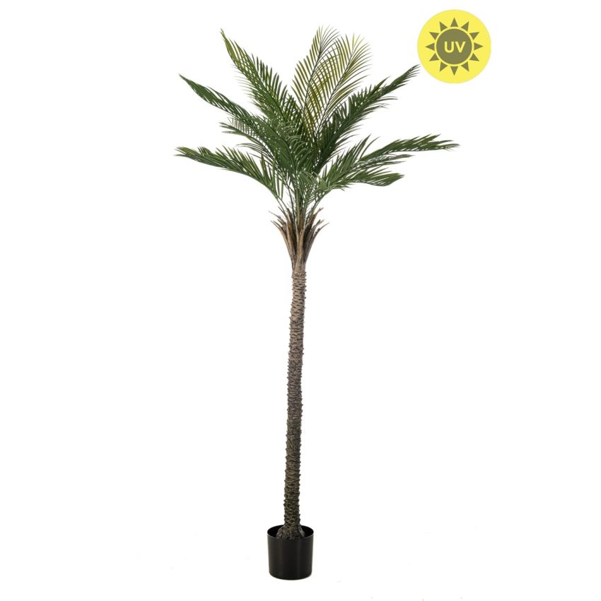Palm UV 210cm (knock down packing)