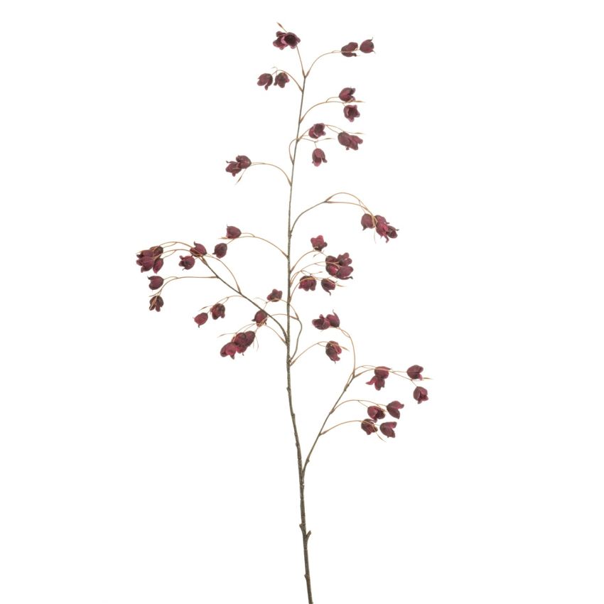 Buttercup spray burgundy 105cm