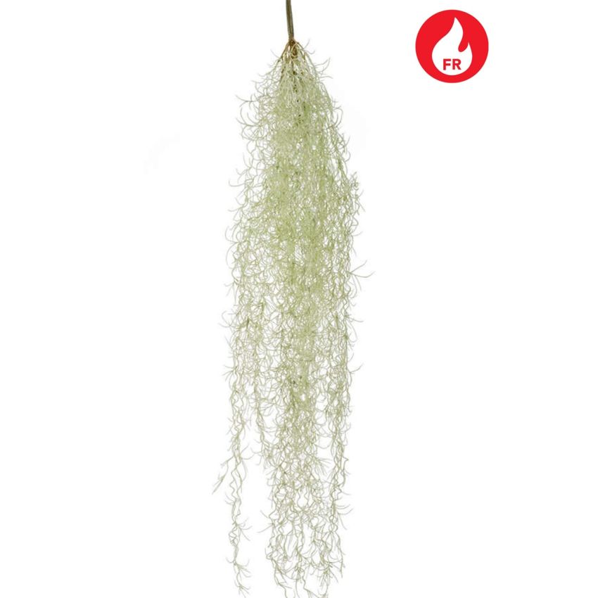 Tillandsia hair bush FR grey 85cm