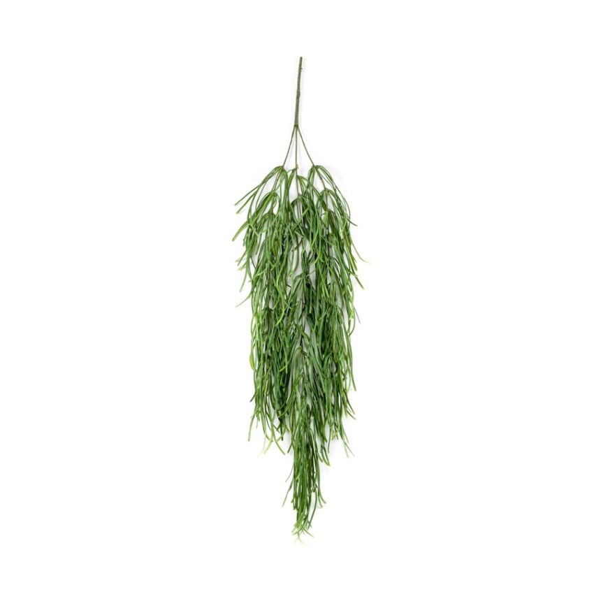 Rhipsalis hanging bush green 80cm