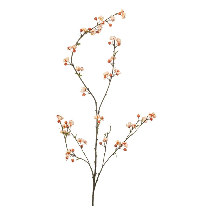 Euonymus spray cream/orange 115cm