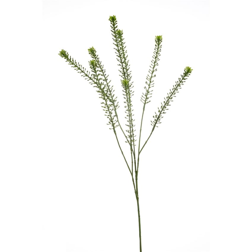 Lepidium spray green 85cm