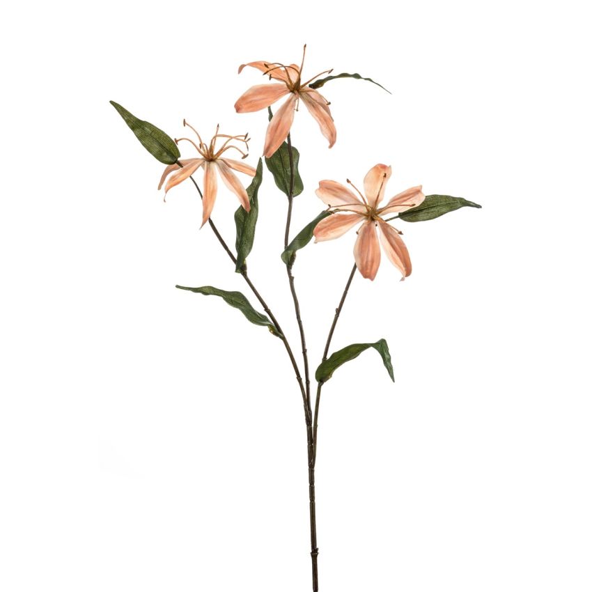 Gloriosa spray peach 80cm