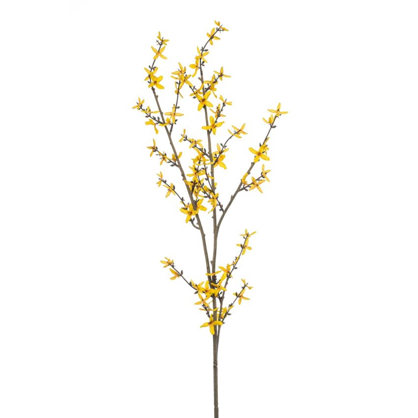 Forsythia spray yellow 110cm