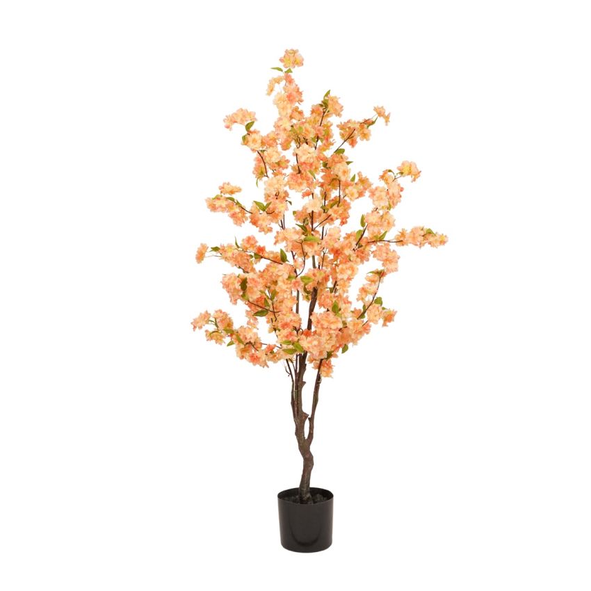 Blossom cherry tree peach 175cm