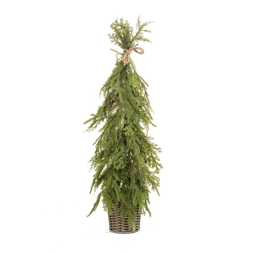 Cedar mix tree in pot 90cm