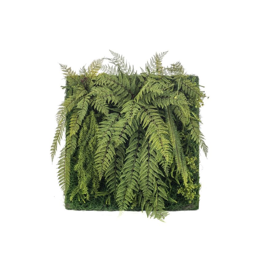 Fern mix living wall 100x100cm