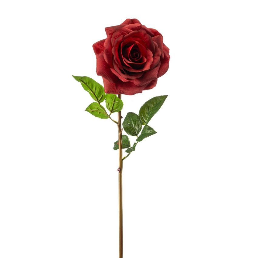 Rose chloe RT spray red 68cm