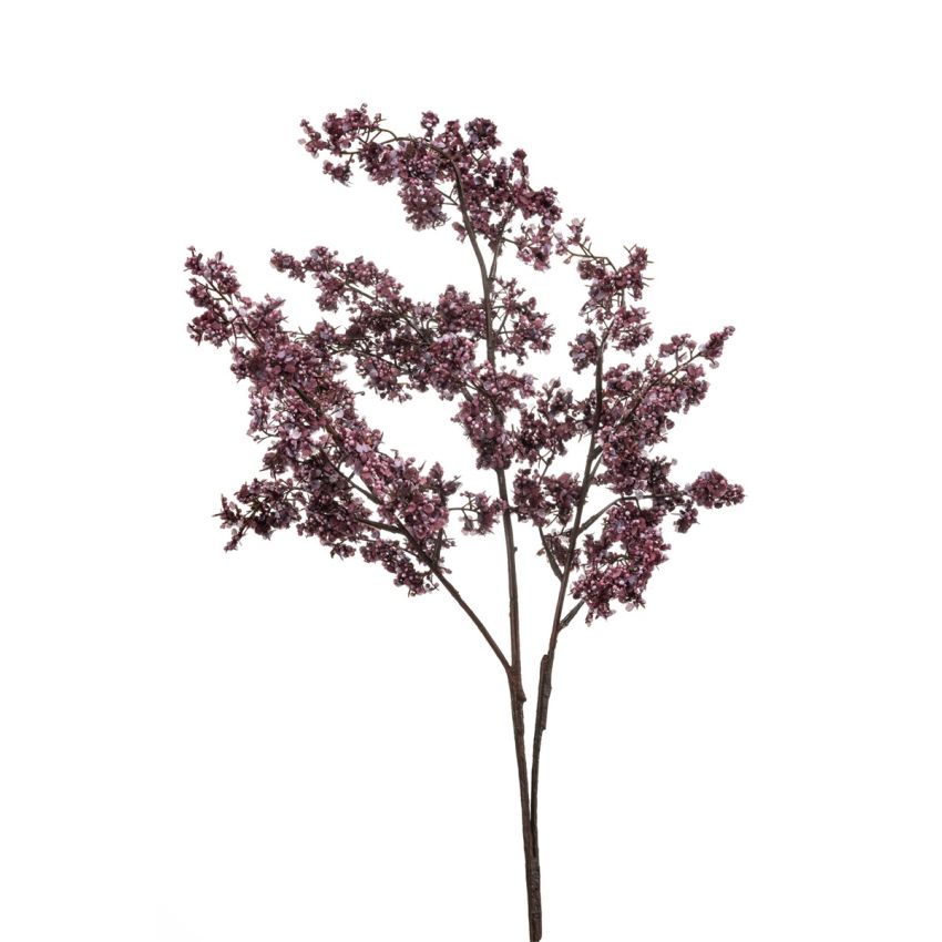 Statice spray purple 80cm