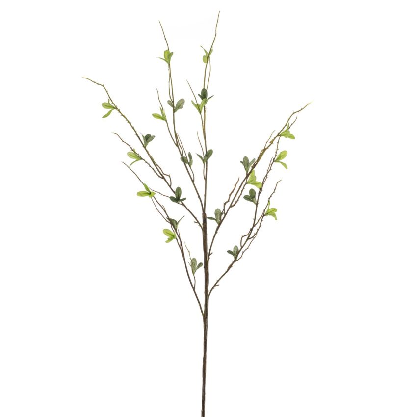 Salix spray green 90cm