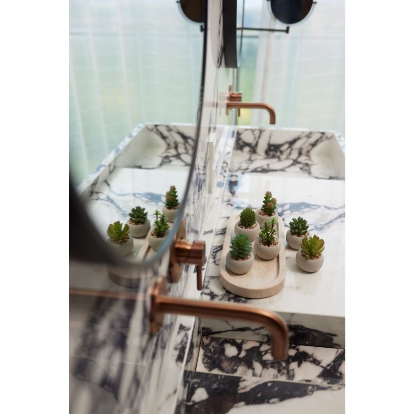 Succulent mix in cement pot 6.5cm