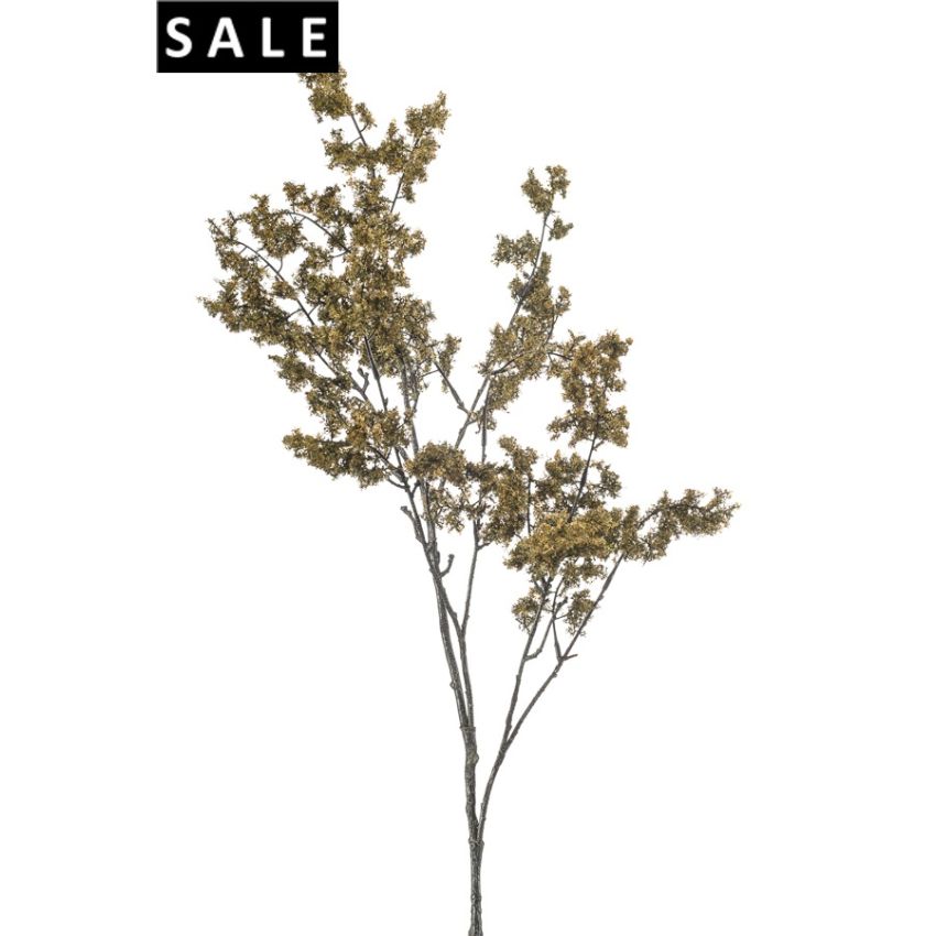 Astilbe spray dk green 105cm