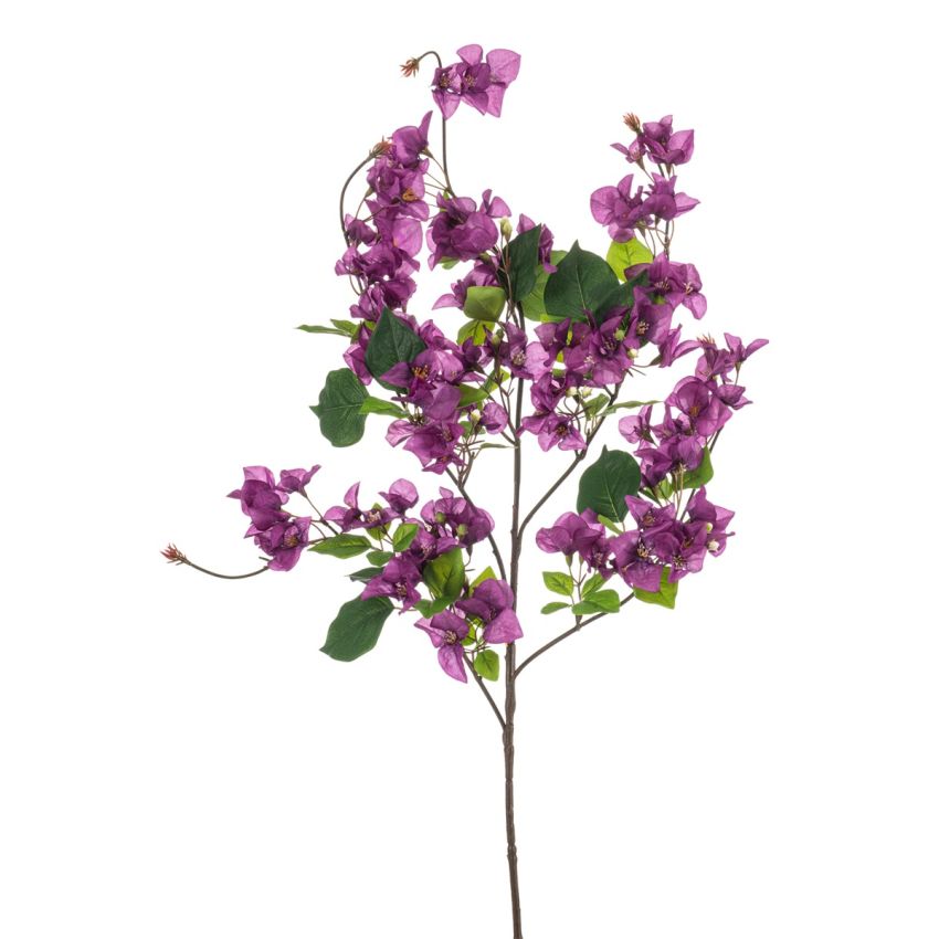 Bougainvillea spray purple 100cm