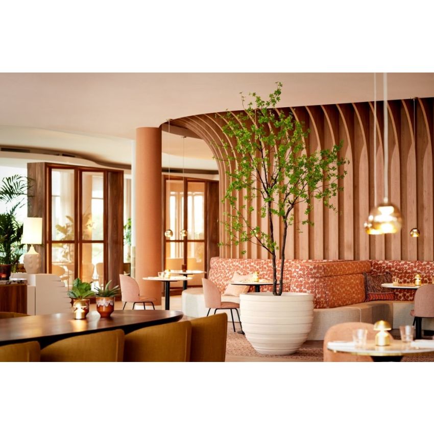 Tropaeolum plant green 300cm (knock down packing)