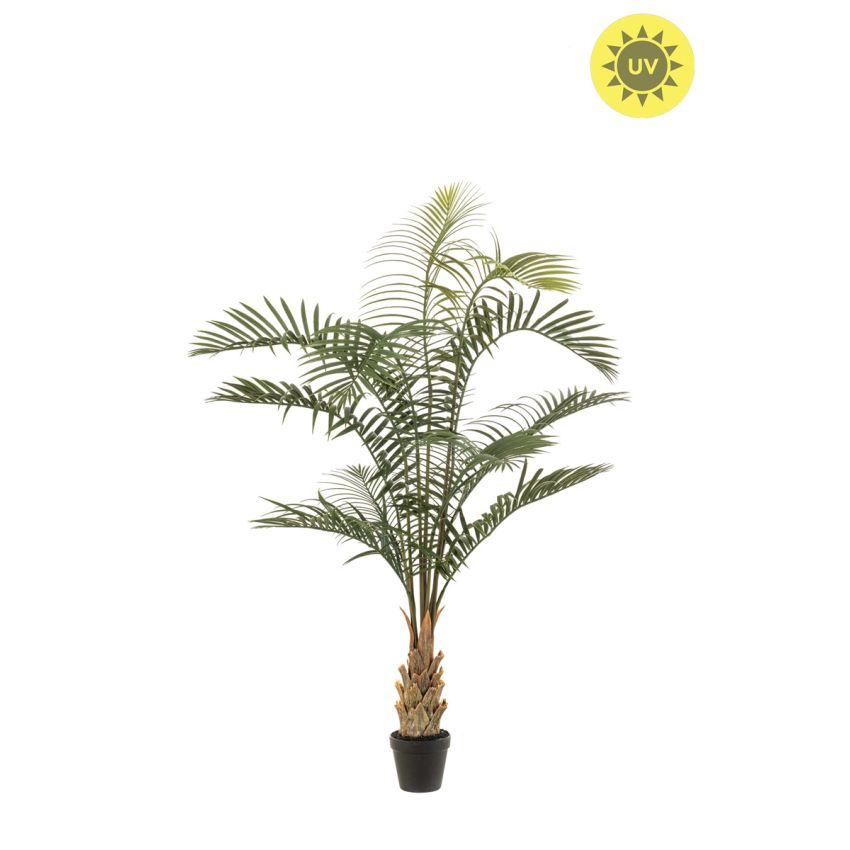 Palm areca UV 120cm