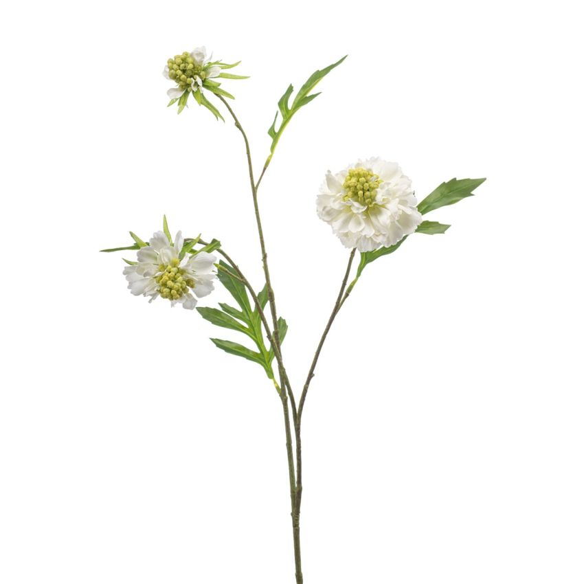 Scabiosa spray x3 white 62cm