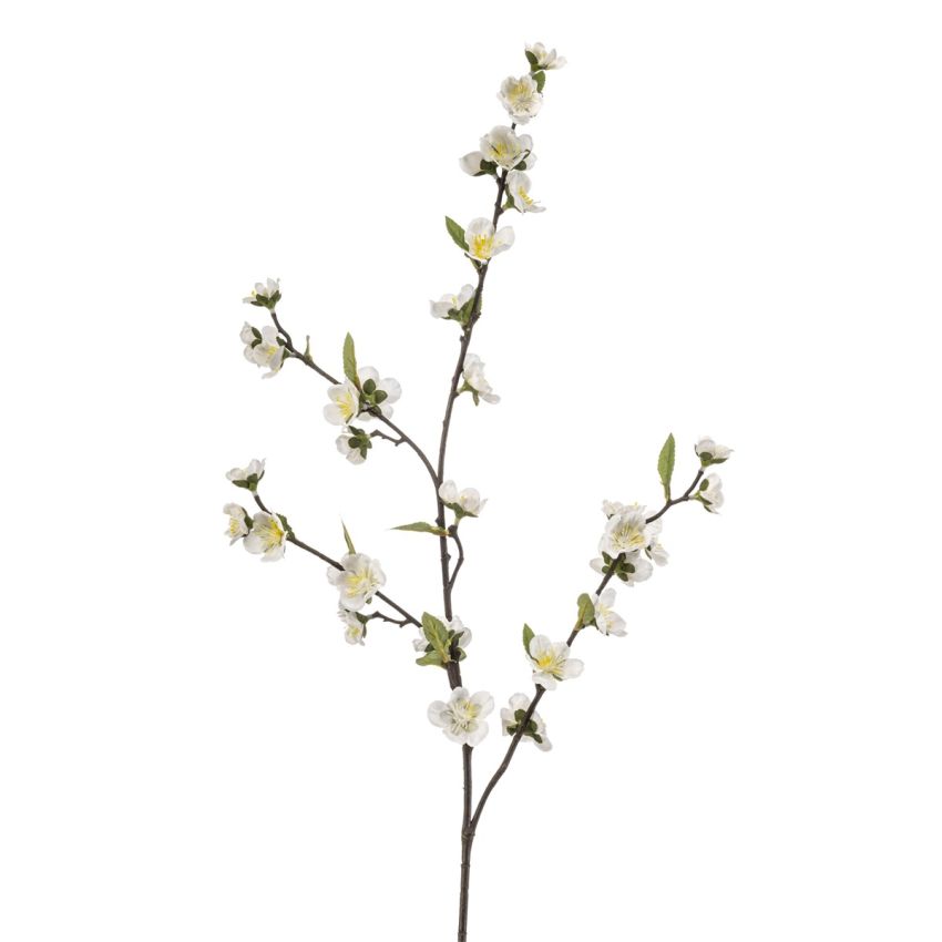 Chaenomeles spray white 108cm