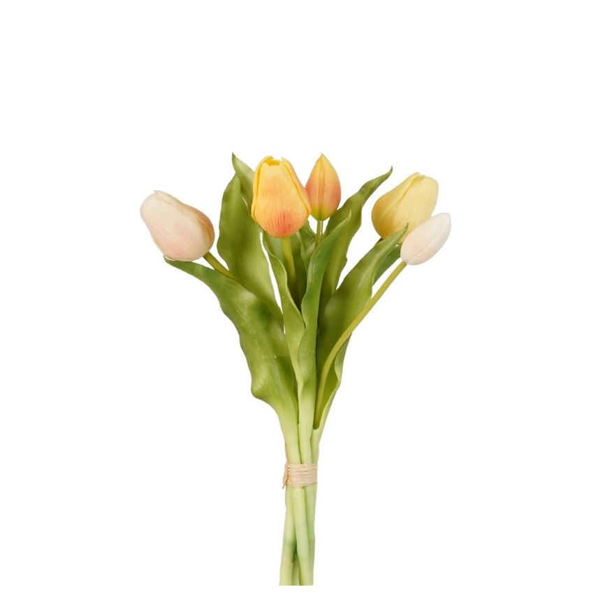Tulip bundle x5 lt yellow 30cm