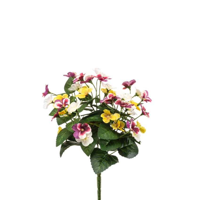 Pansy bush white/purple/yellow 30cm