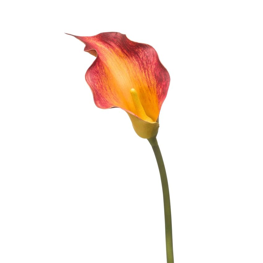 Calla lily spray red/yellow 83cm
