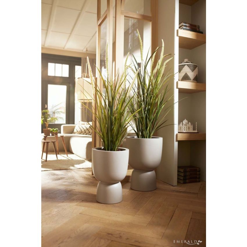 Grass foxtail x7 130cm