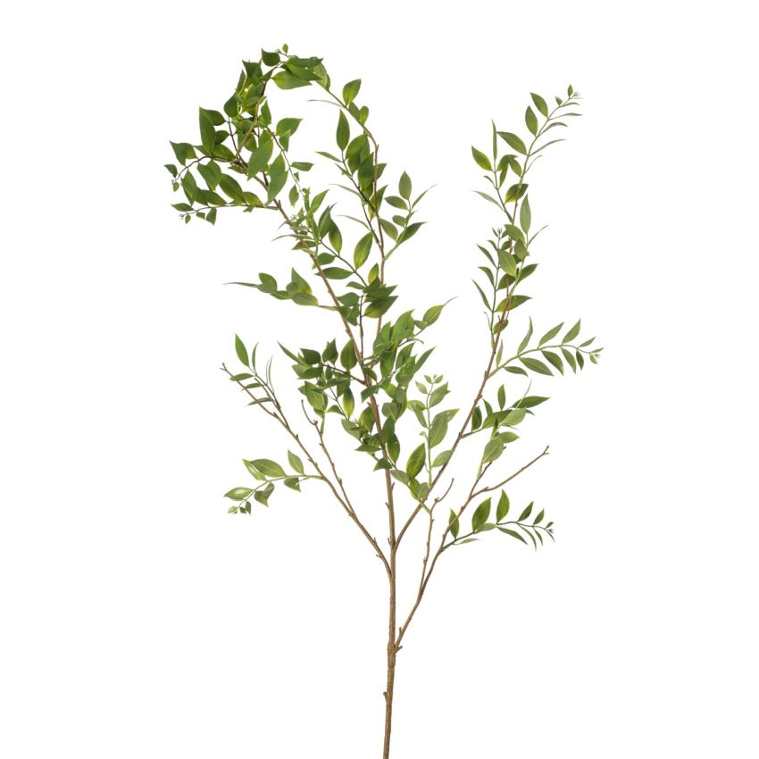 Ruscus spray green 140cm