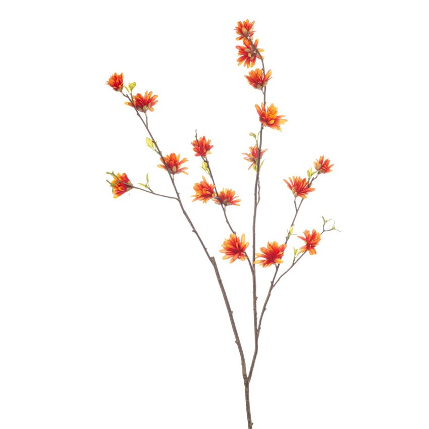 Hamamelis spray orange 110cm