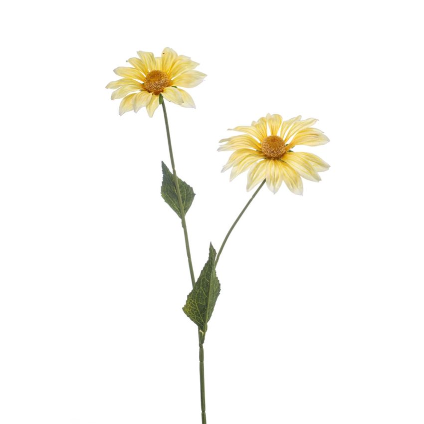 Leucanthemum spray yellow 54cm