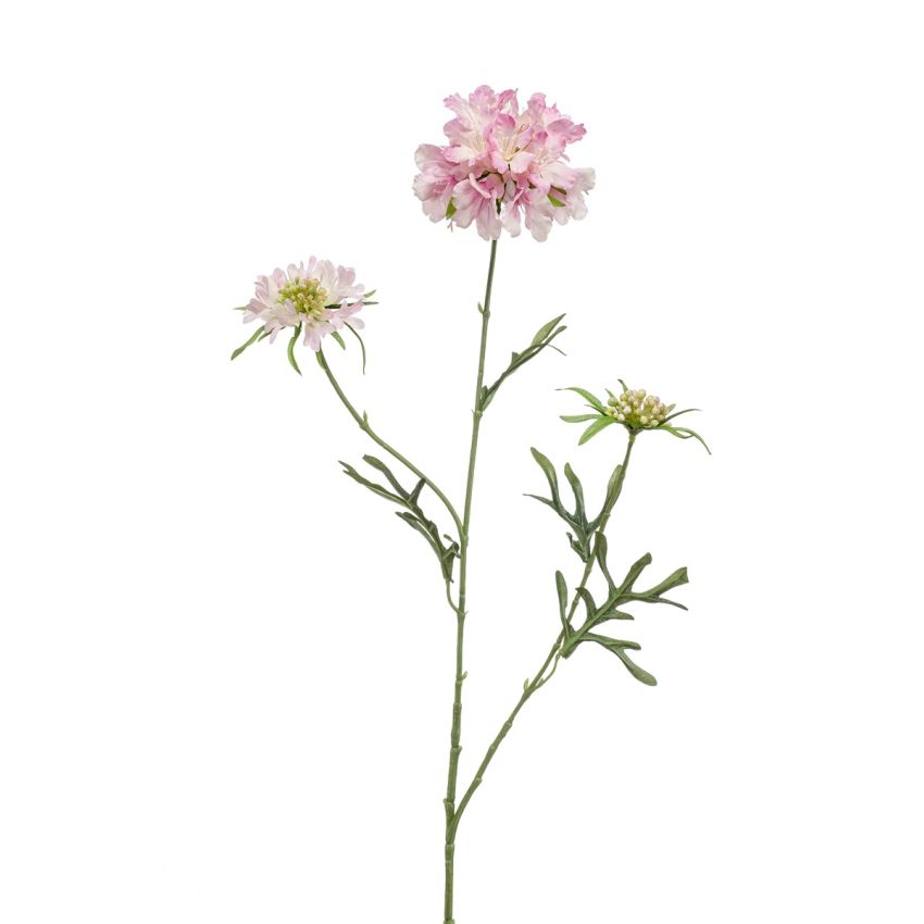 Scabiosa spray pink 77cm