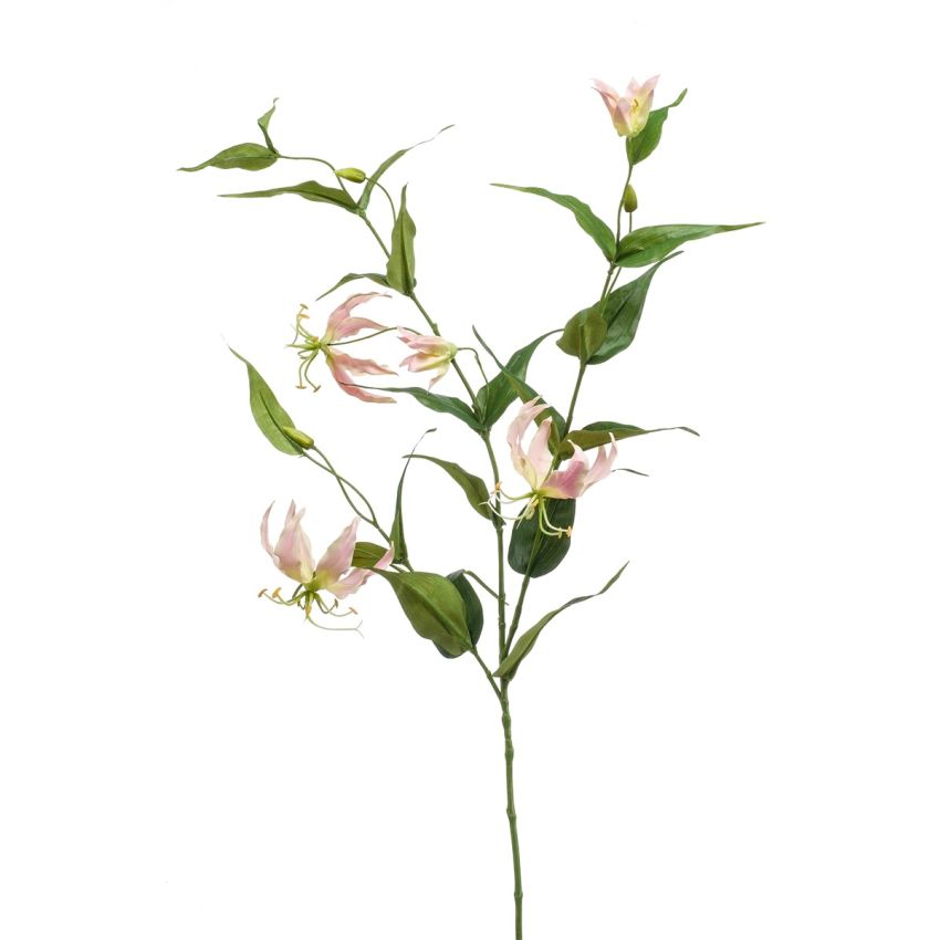Gloriosa spray lt pink 120cm