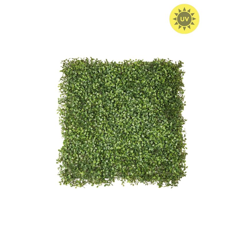 Boxwood mat weather resistant/UV tt green 50x50cm