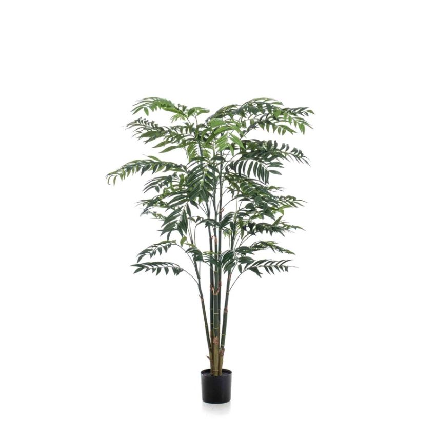 Palm bamboo 195cm (knock down packing)
