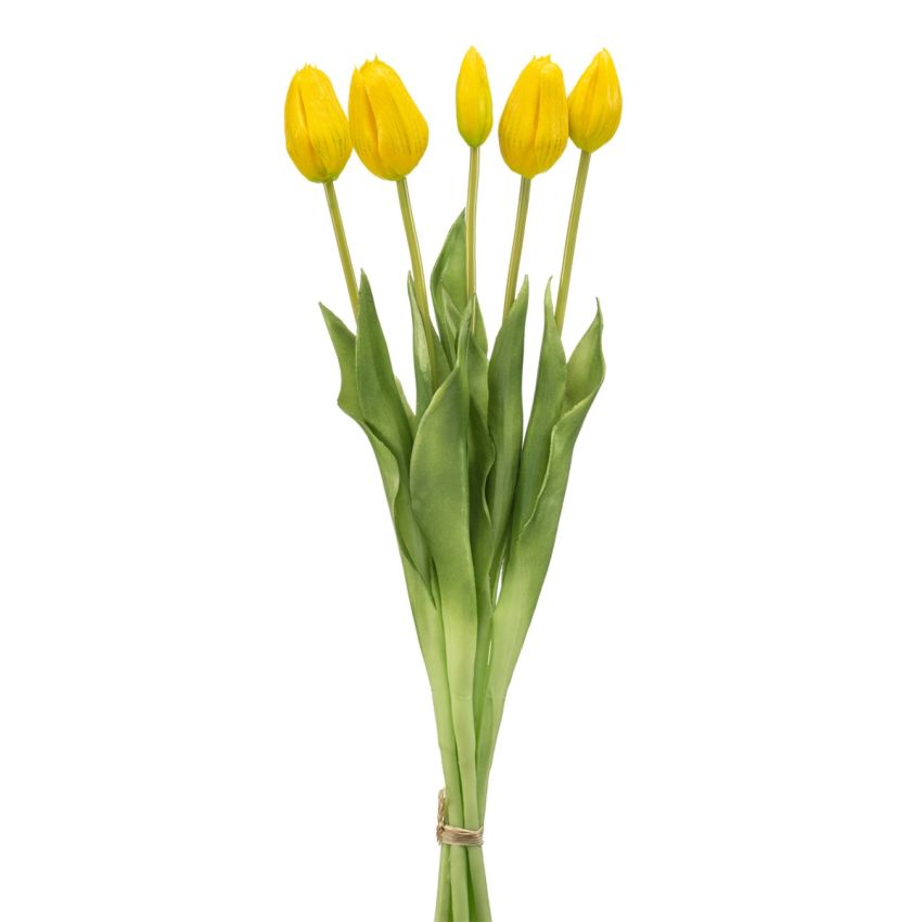 Tulip bundle x5 yellow 43cm