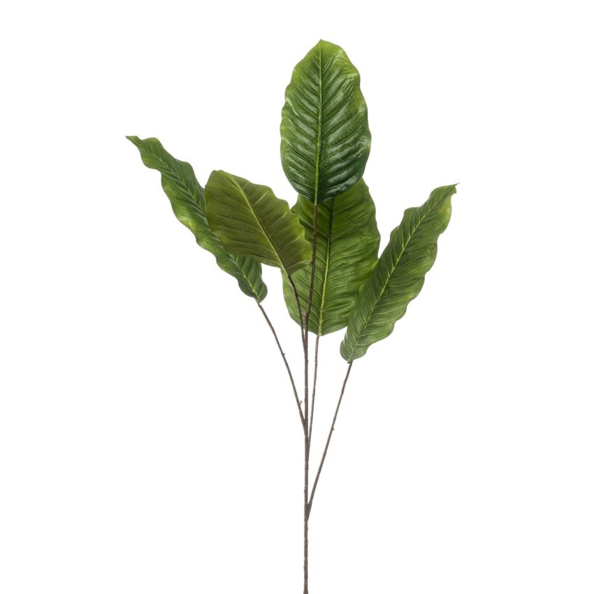 Dieffenbachia spray green 110cm