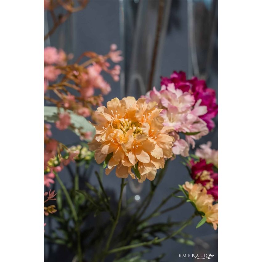 Scabiosa spray peach 77cm