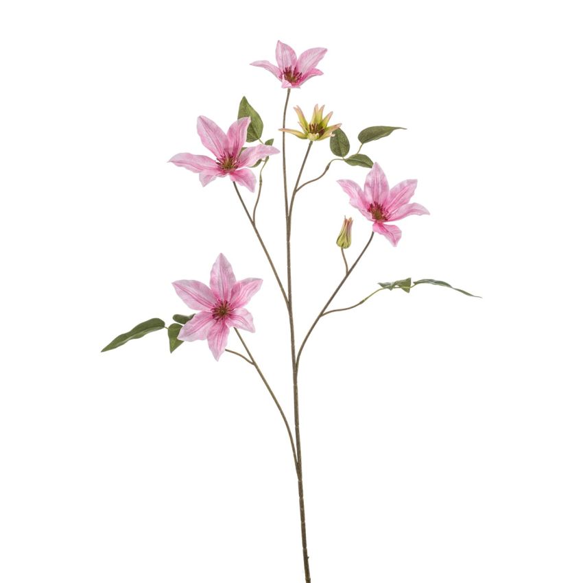 Clematis spray pink 102cm