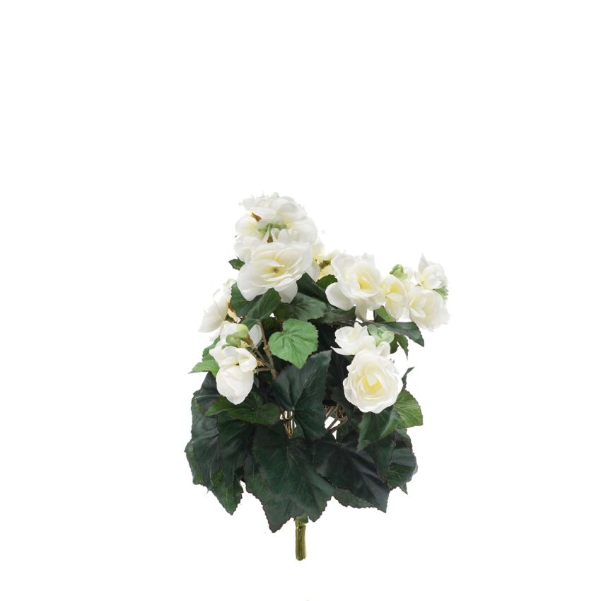 Begonia bush cream 29cm