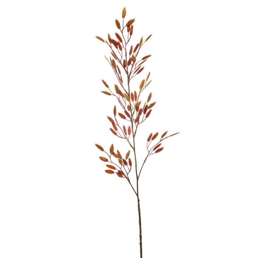 Briza spray orange 100cm