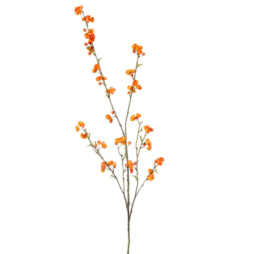 Euonymus spray orange 115cm