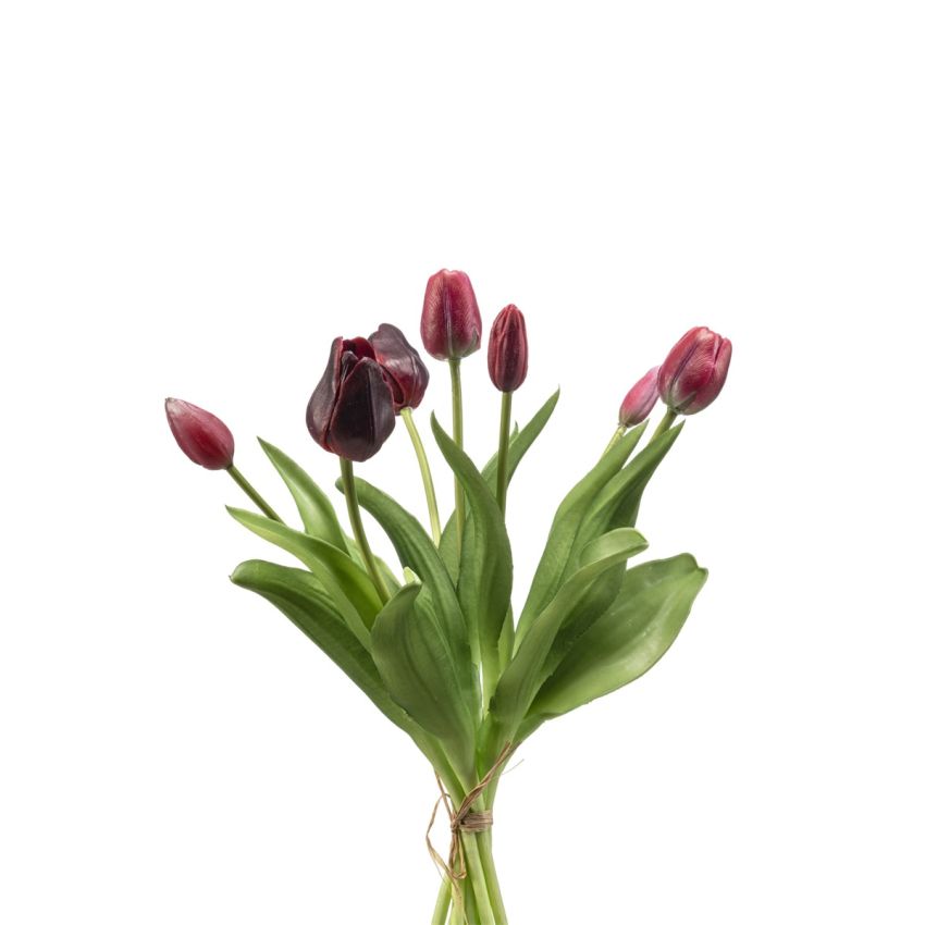 Tulip bundle x7 dk red 40cm