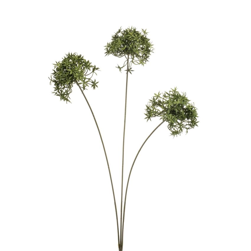 Allium spray green 62cm