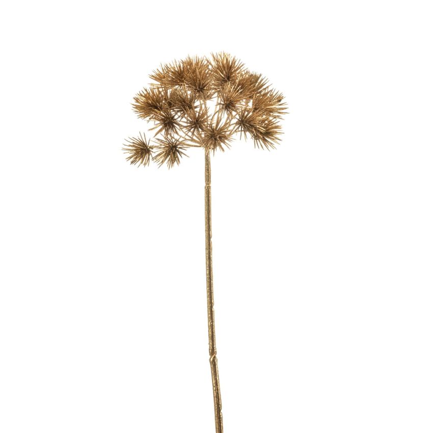 Heracleum spray gold 68cm