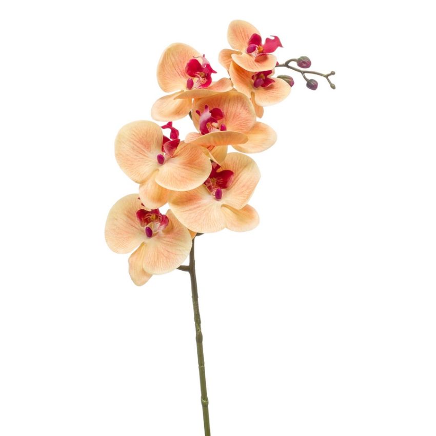 Phalaenopsis spray RT peach/beauty 83cm