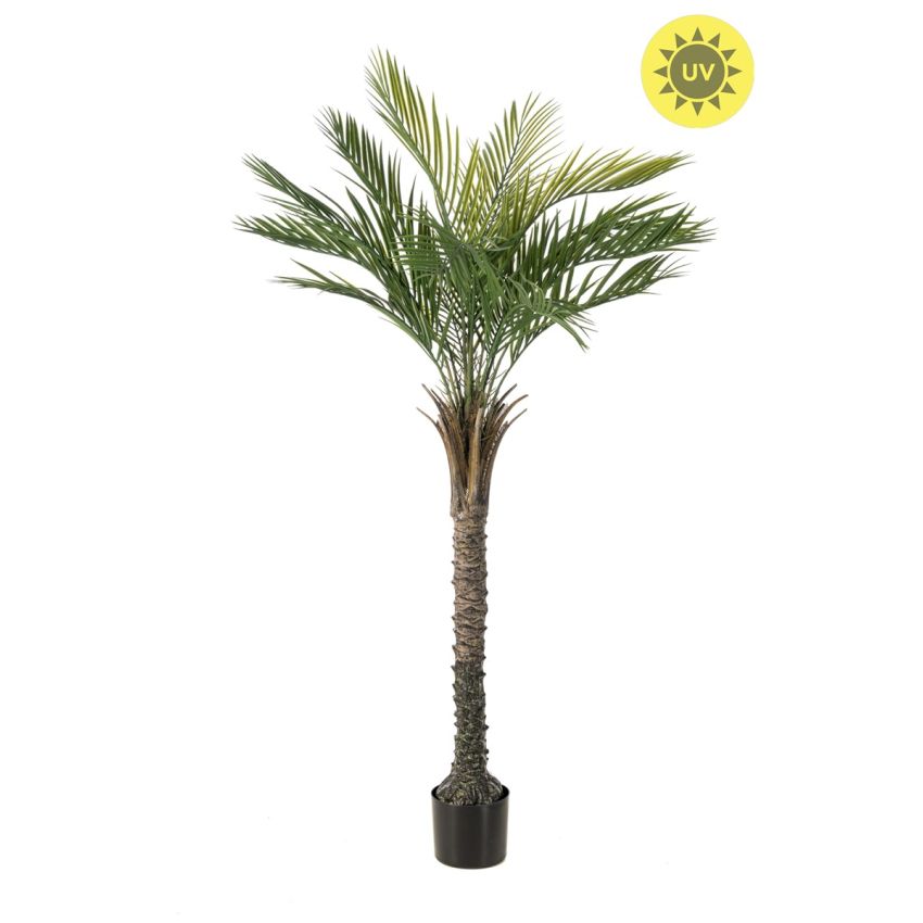Palm UV 150cm (knock down packing)
