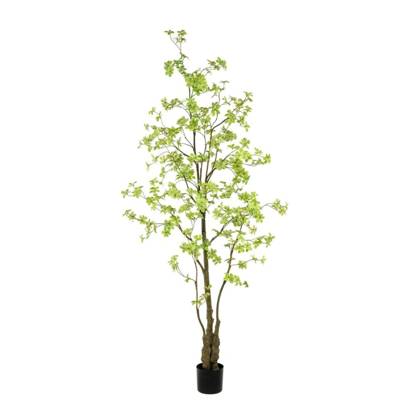 Tropaeolum plant green 245cm (knock down packing)