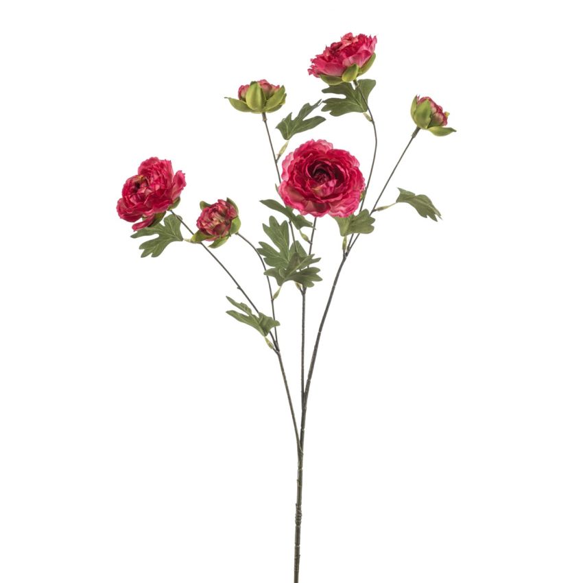 Ranunculus spray beauty 78cm