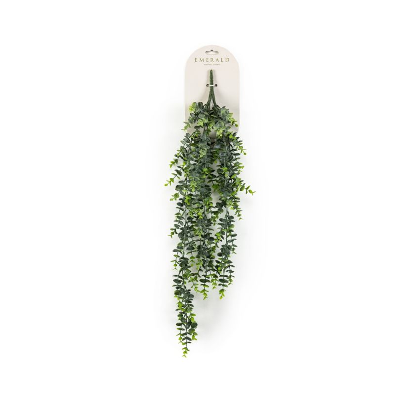 Eucalyptus hanging bush grey 80cm